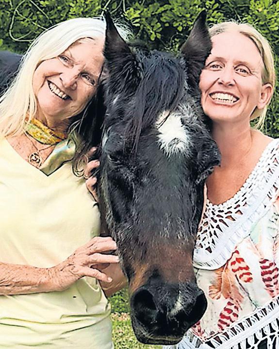 Oldest living horse, once owned by Burt Reynolds, dies aged 40