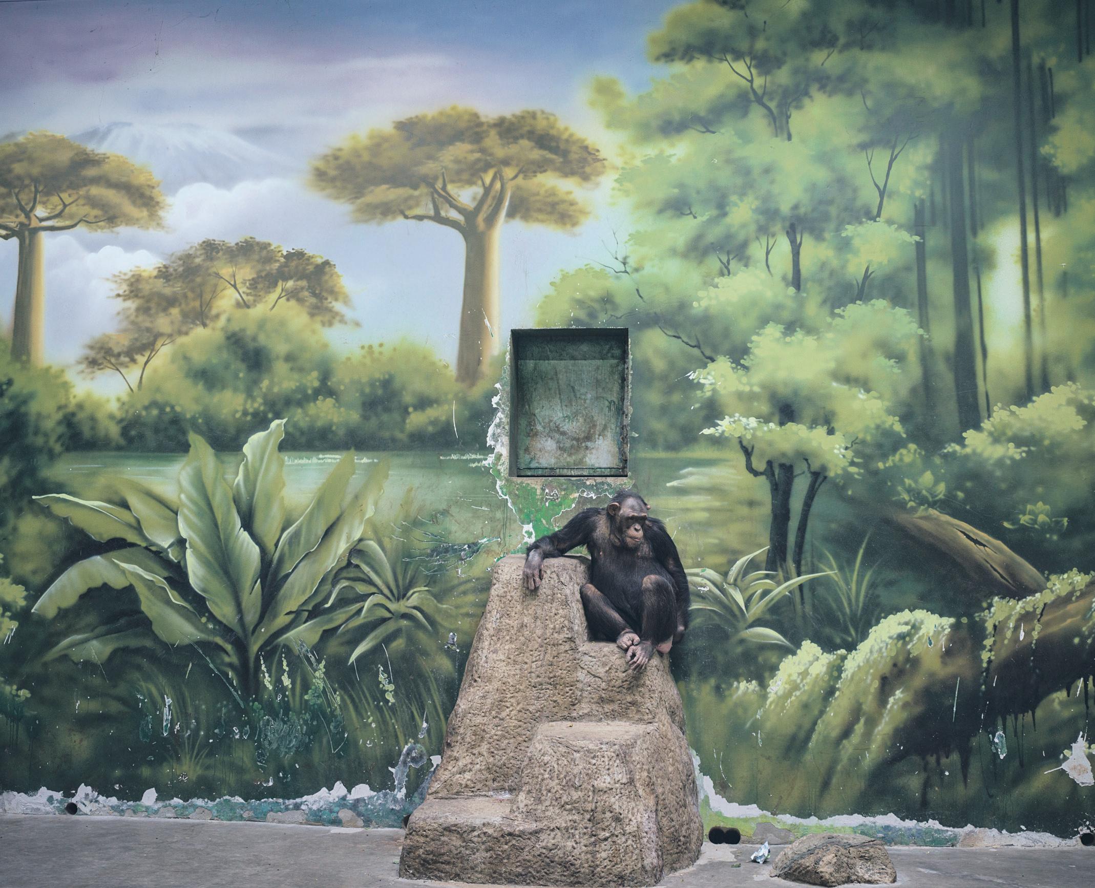 World remade People flock to fake versions of dying nature