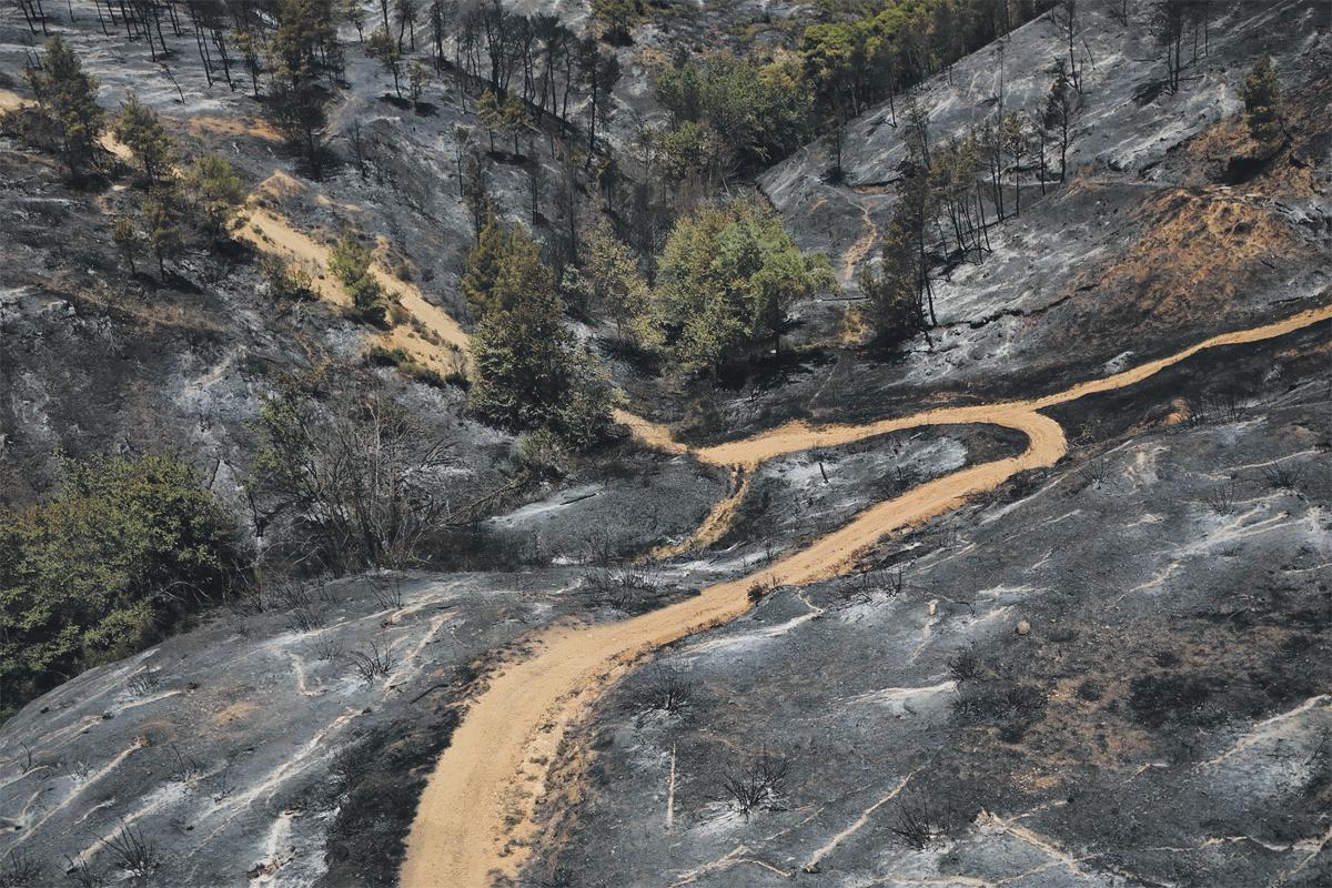 Thousands of people flee fires in Greece and Turkey