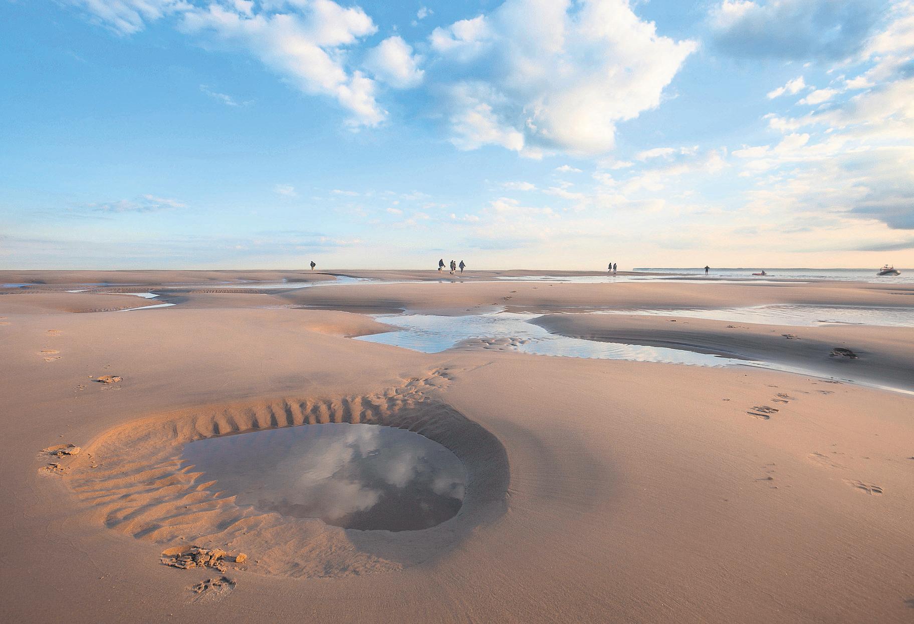 Campaigners call on King Charles to save Kent sandbank from destructive dredging