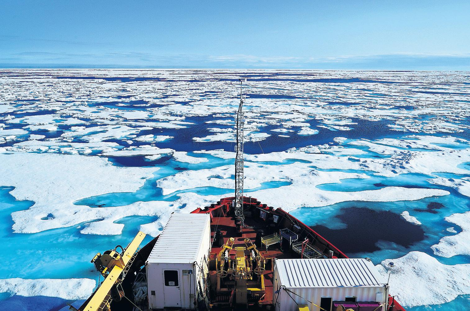 Dramatic slowdown in the melting of Arctic sea ice surprises scientists