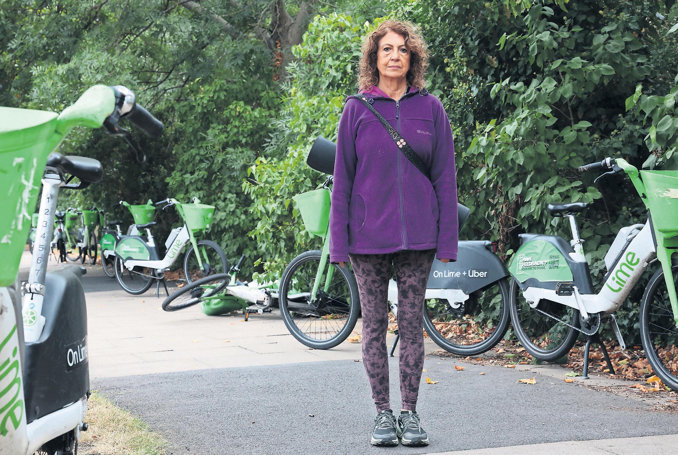 Checkpoint Charlie' Rival ebike firms turn London path into a bridge too far