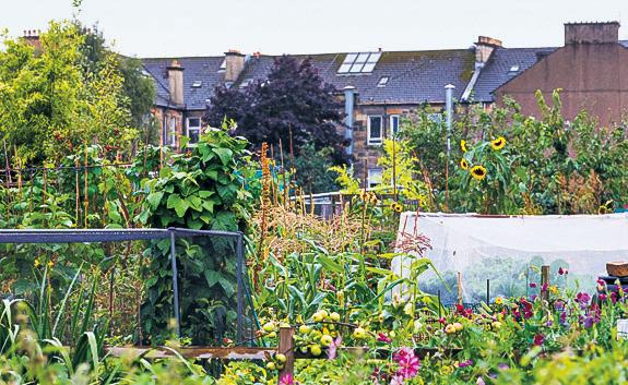 'Ijoined every waiting list' The search for a plot in Glasgow
