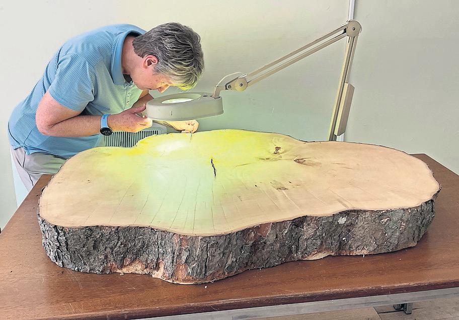 Sycamore Gap tree 'at least 120 years old' when it was felled