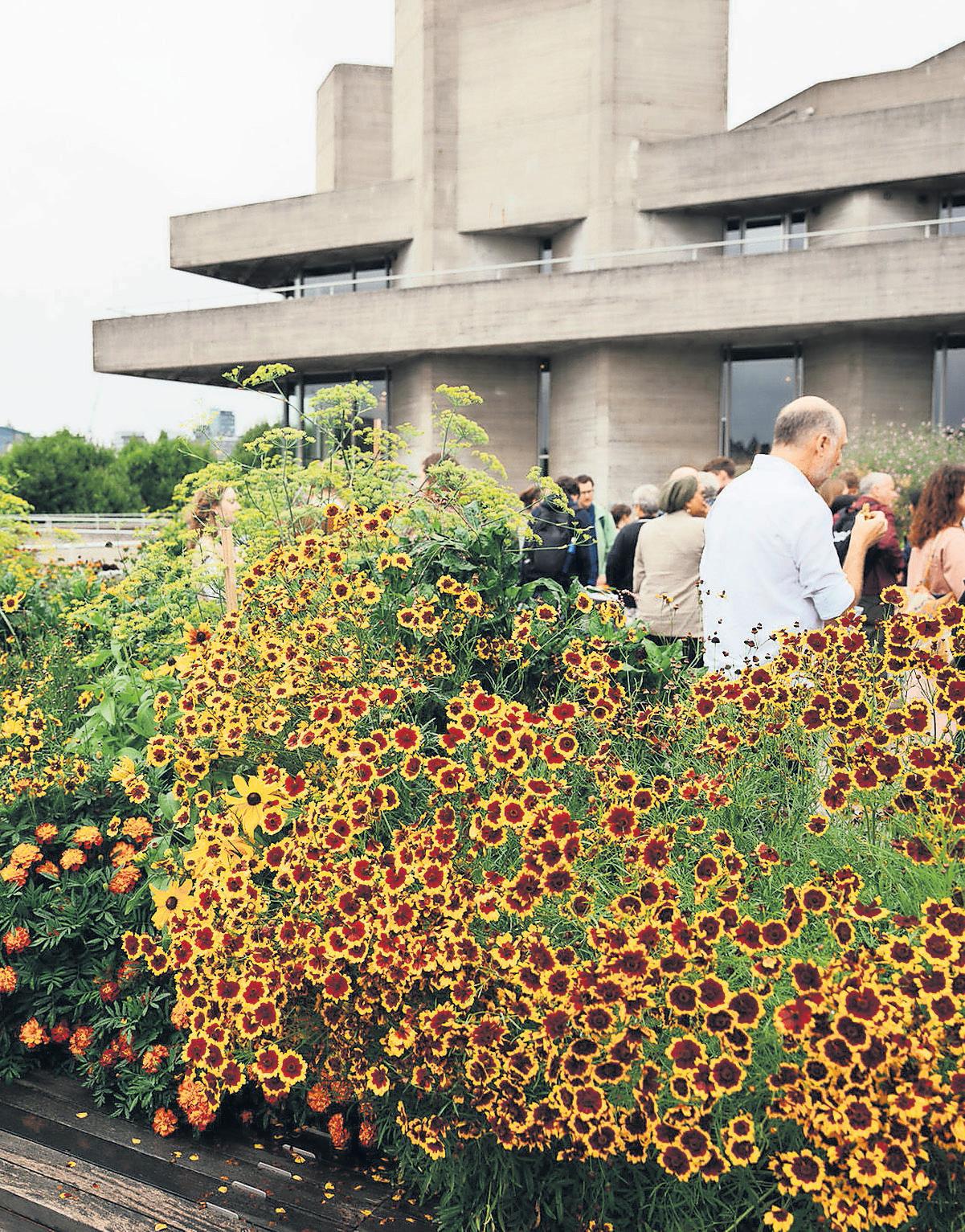 Theatre uses its secret garden for costume dye