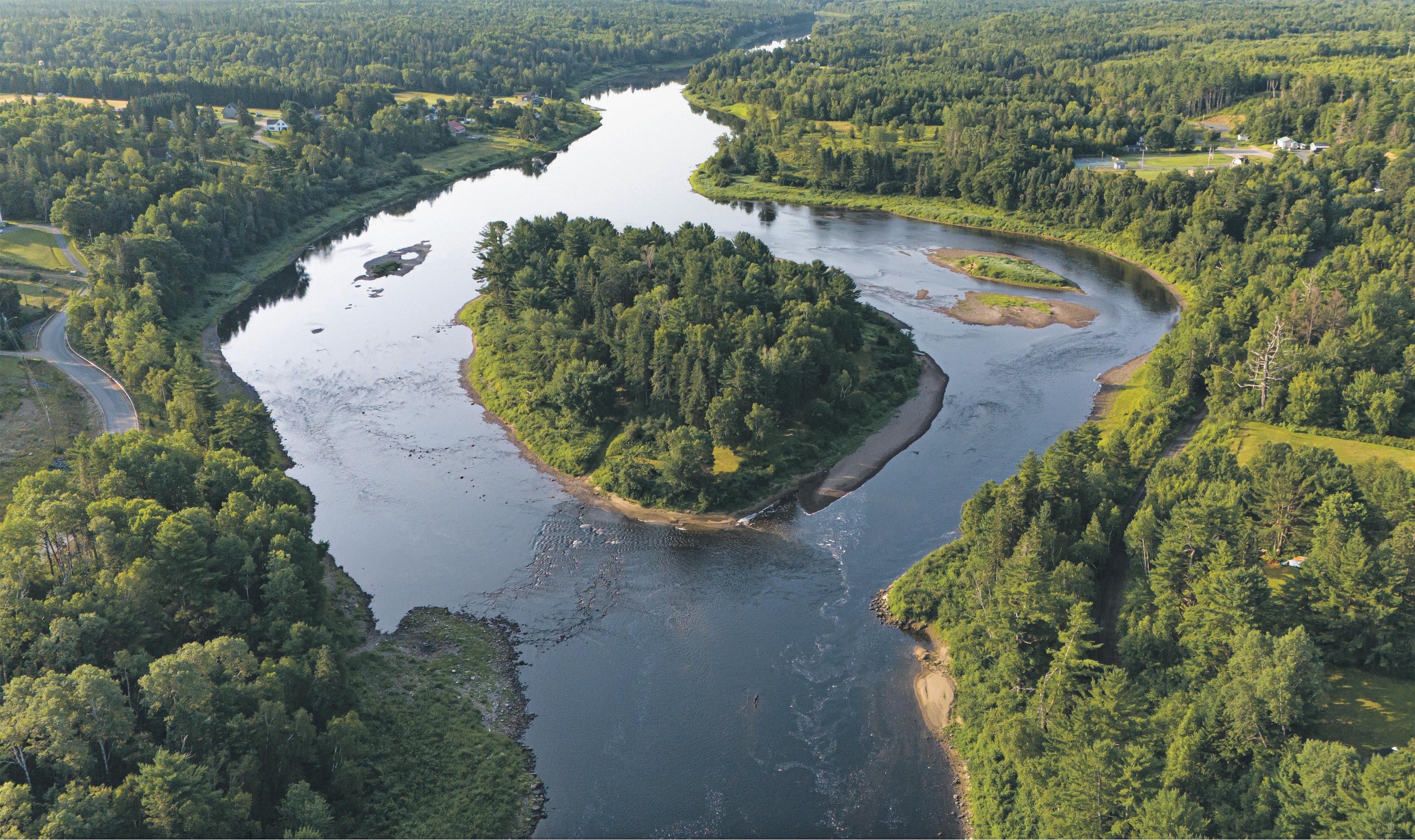 Striped bass in a Canadian river are eating all the salmon. Time for a cull?