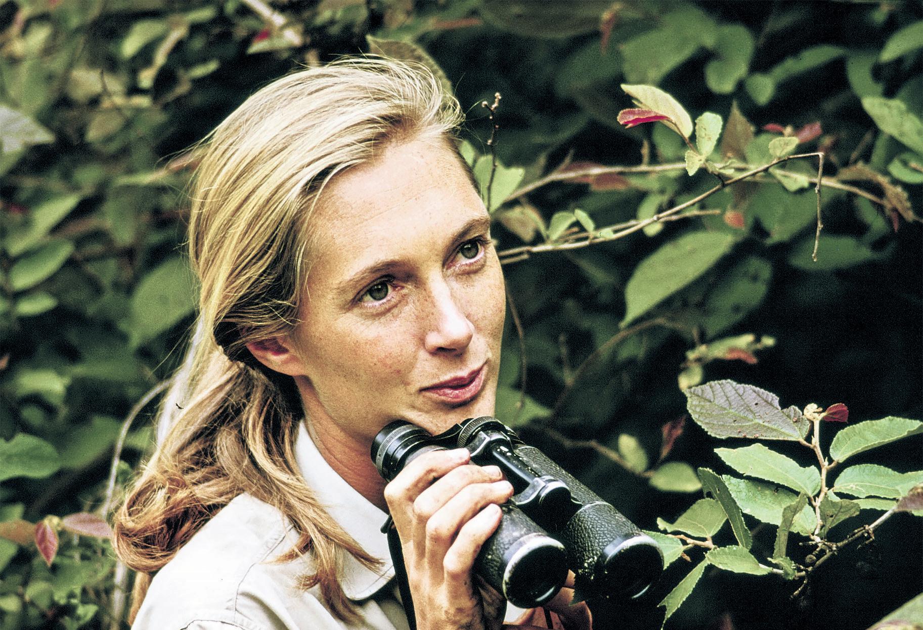 World-renowned chimpanzee expert Jane Goodall dies aged 91