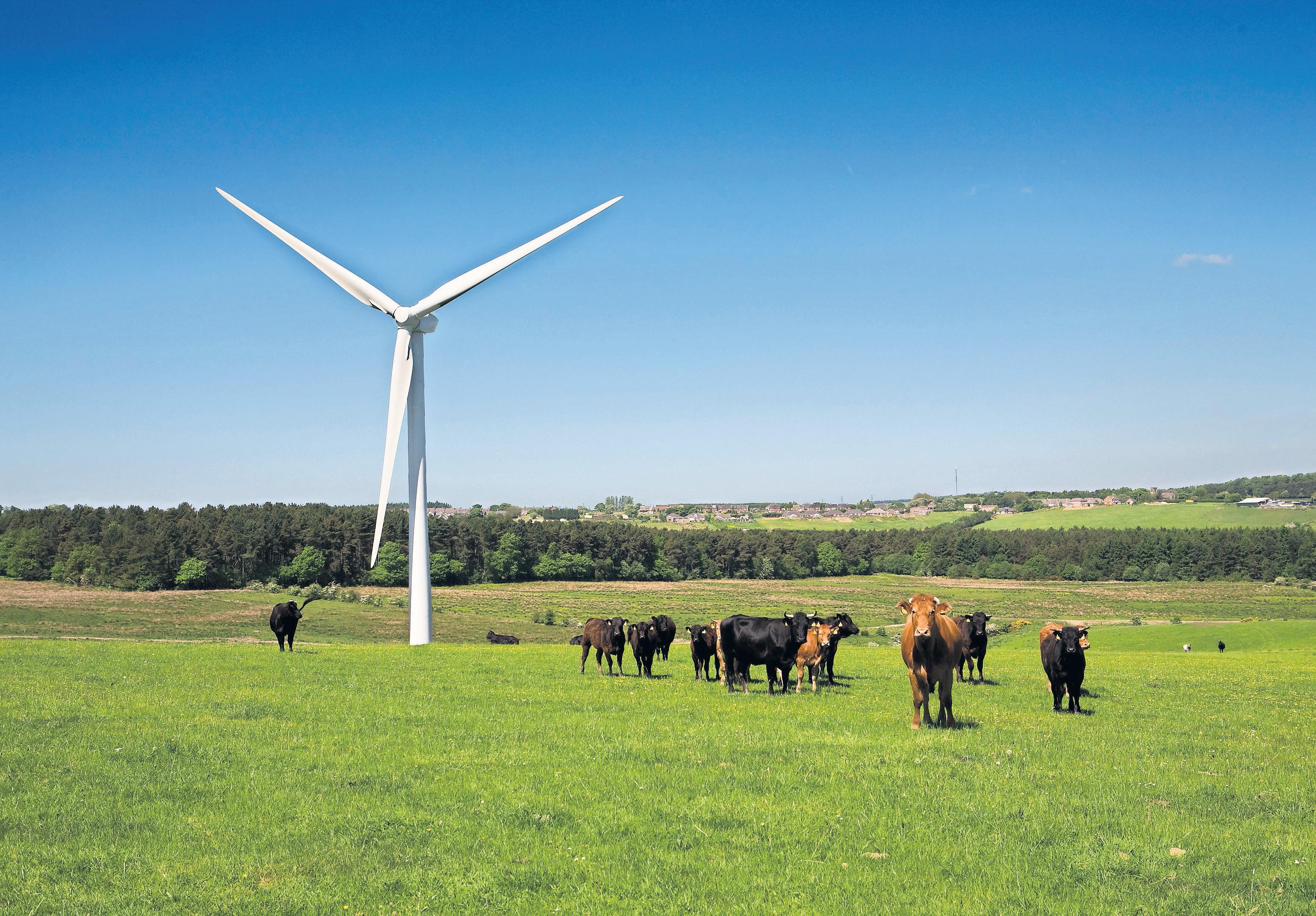 Green energy Club together for savings of up to 30%