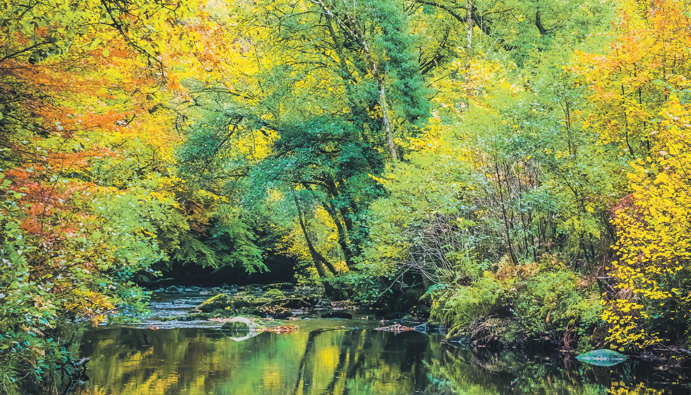 WHERE THERE'S A WILL, THERE'S A WAY