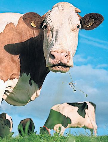 Methane emissions from US oil and gas operations have soared since 2020