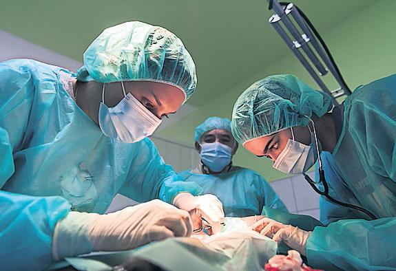 AI tool could help many more organ transplants succeed, say scientists