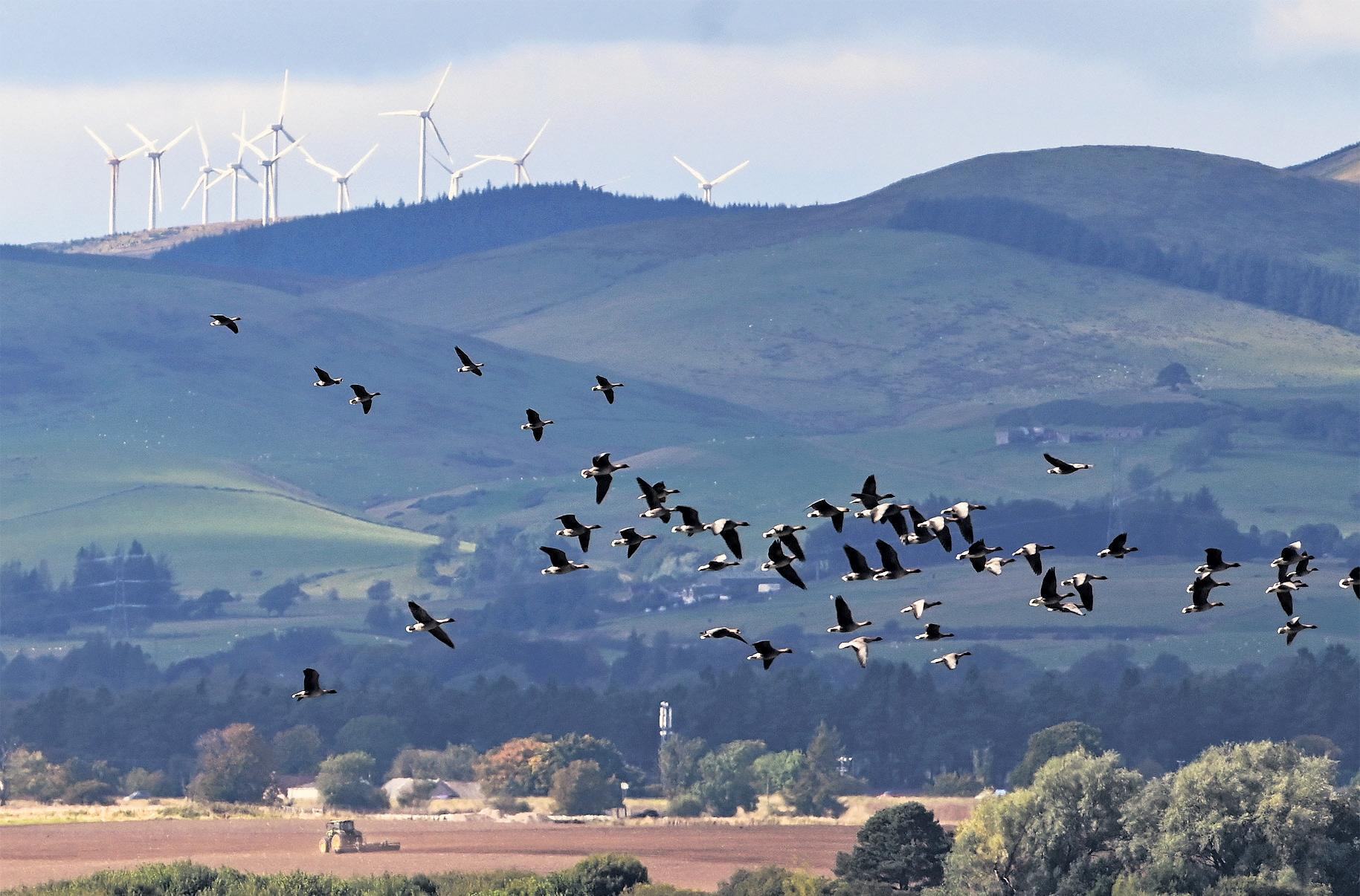 Net zero by 2050 What will it cost to hit the target and will it be a price worth paying?