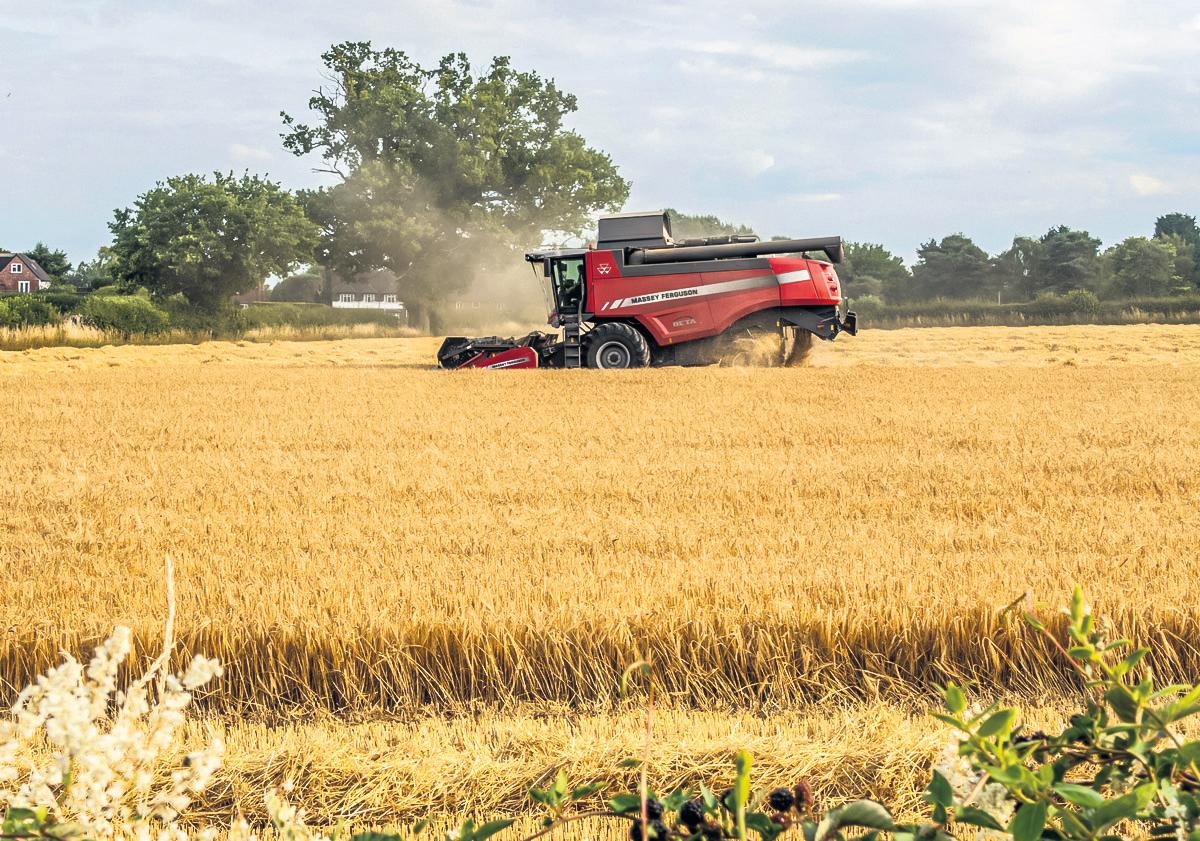 Crops becoming more calorific but less nutritious, study finds