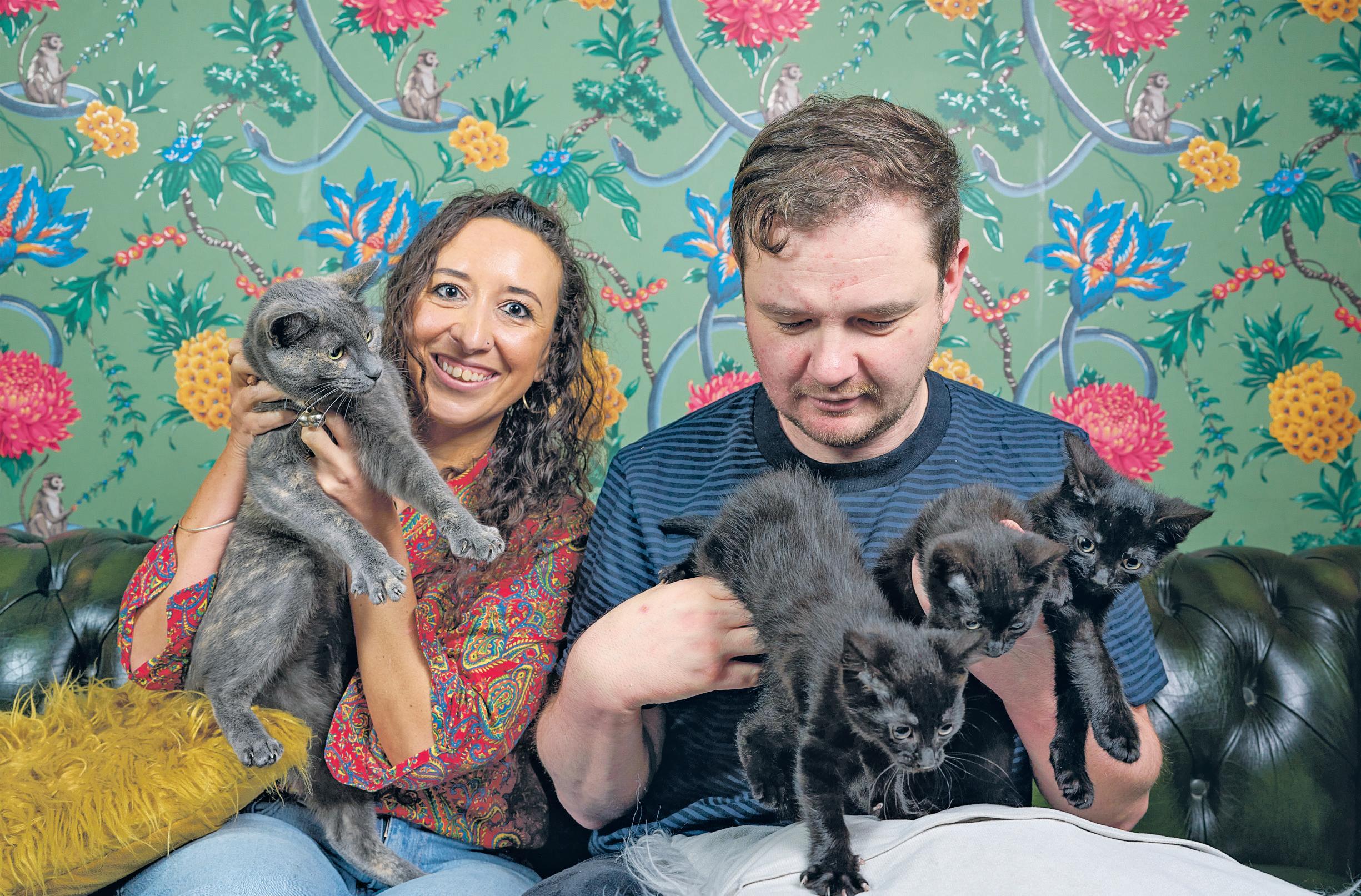 How I came to have 11 cats in my house