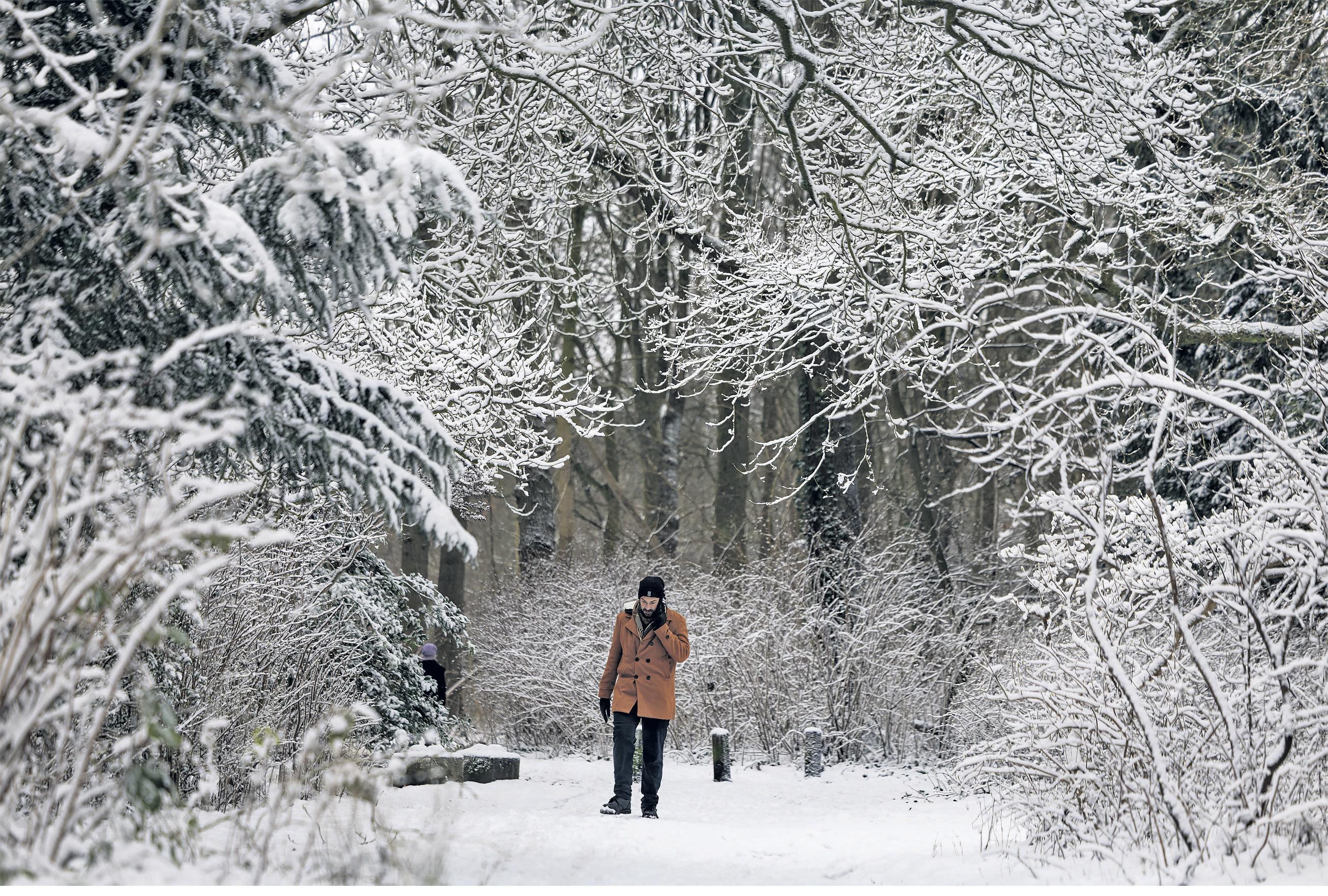 'Damage is piling up' Have the Dutch forgotten how to cope with snow?