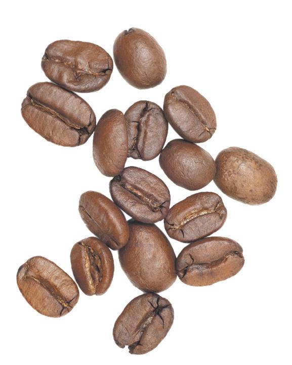 Does shock find push our love of coffee back to reign of Henry V?