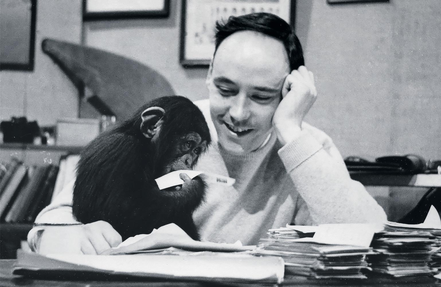 Desmond Morris, zoologist, broadcaster and author, dies at 98