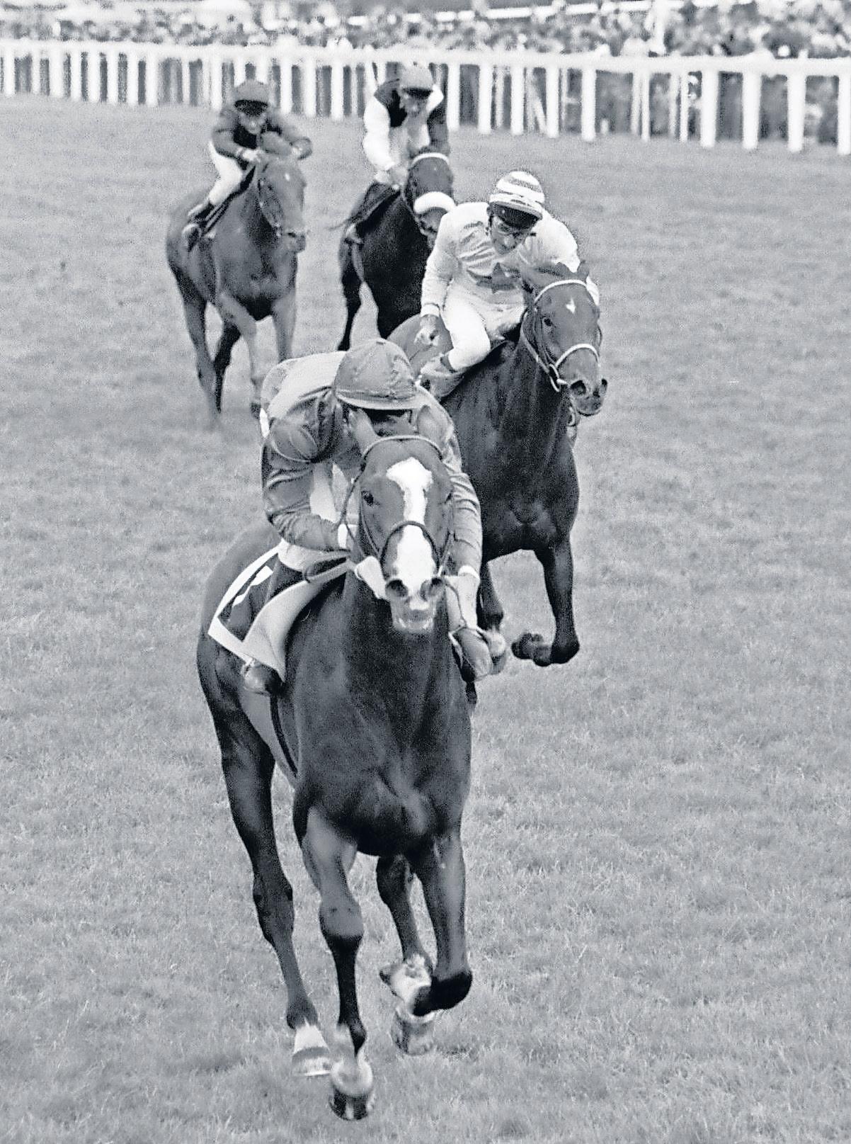 Fans hope tragic Shergar's colours sparkle once more