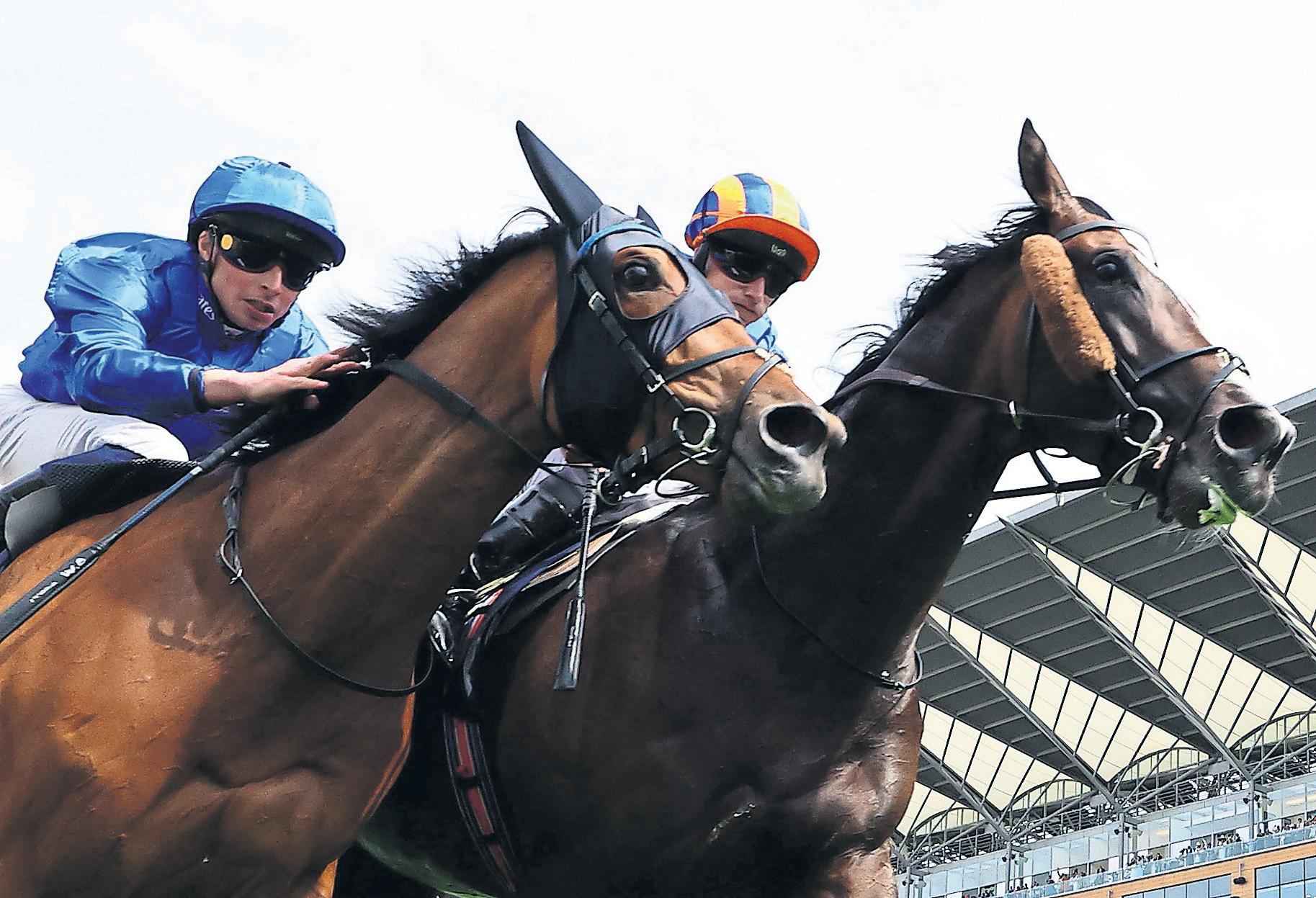 O'Brien saddles century of winners and shows no sign of stopping