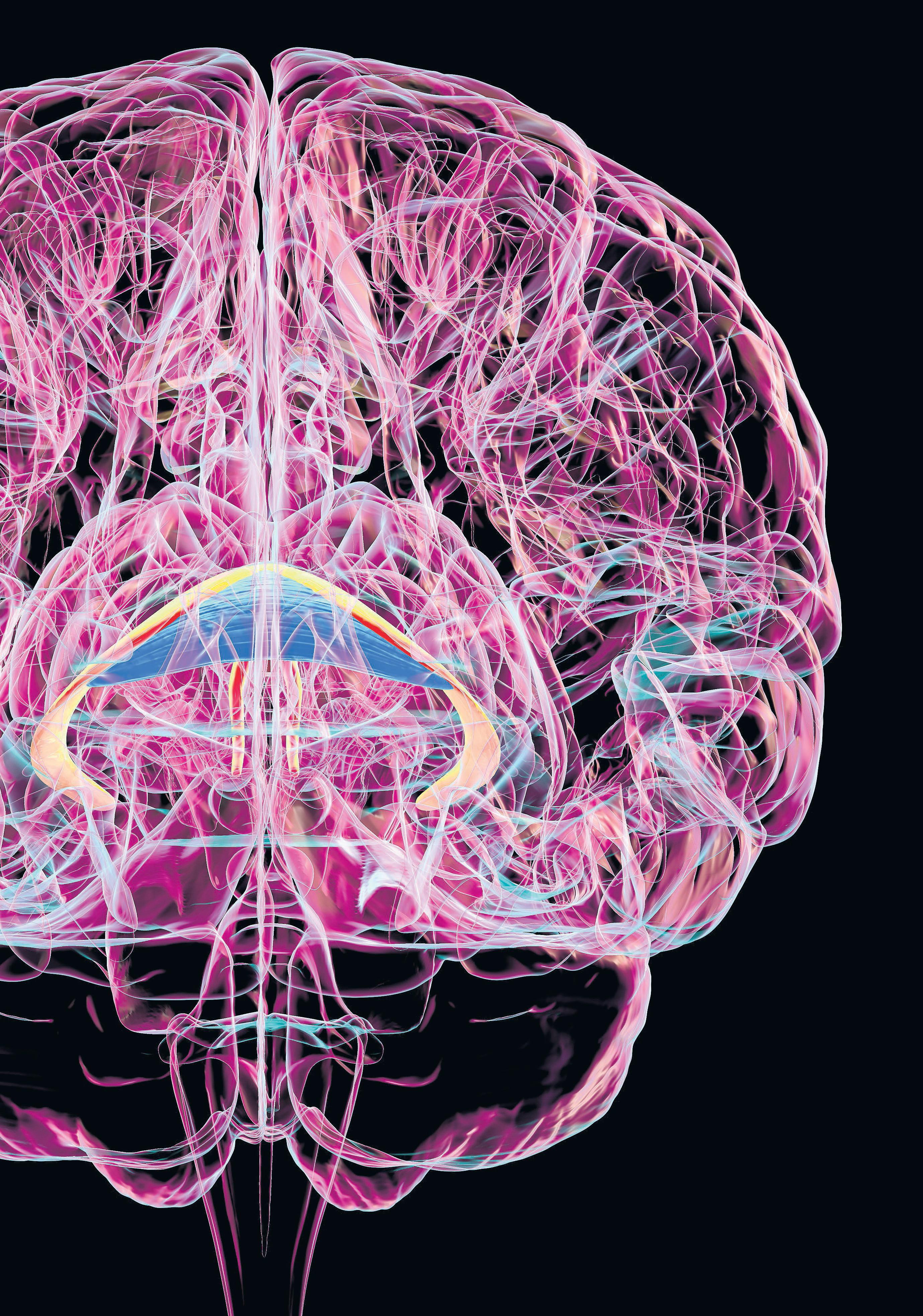 Good vibrations could nudge our ageing brain cells back into their youthful groove