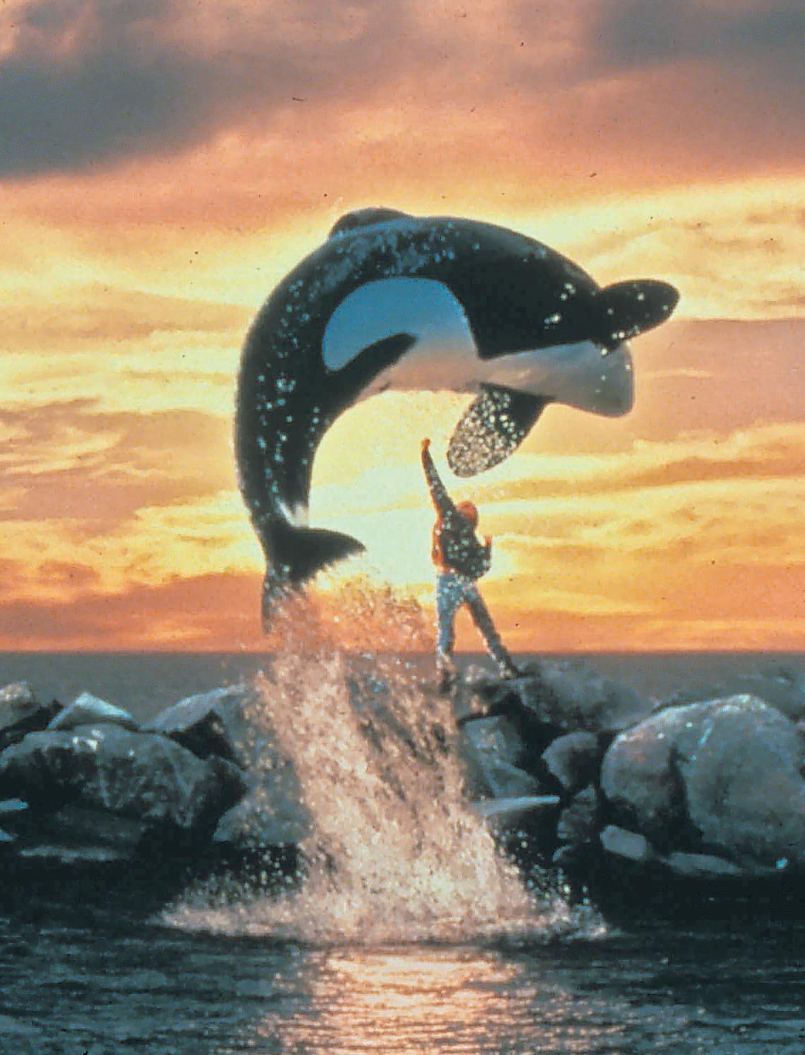 Free Willy lifeline is just a fantasy for France’s last two captive orcas