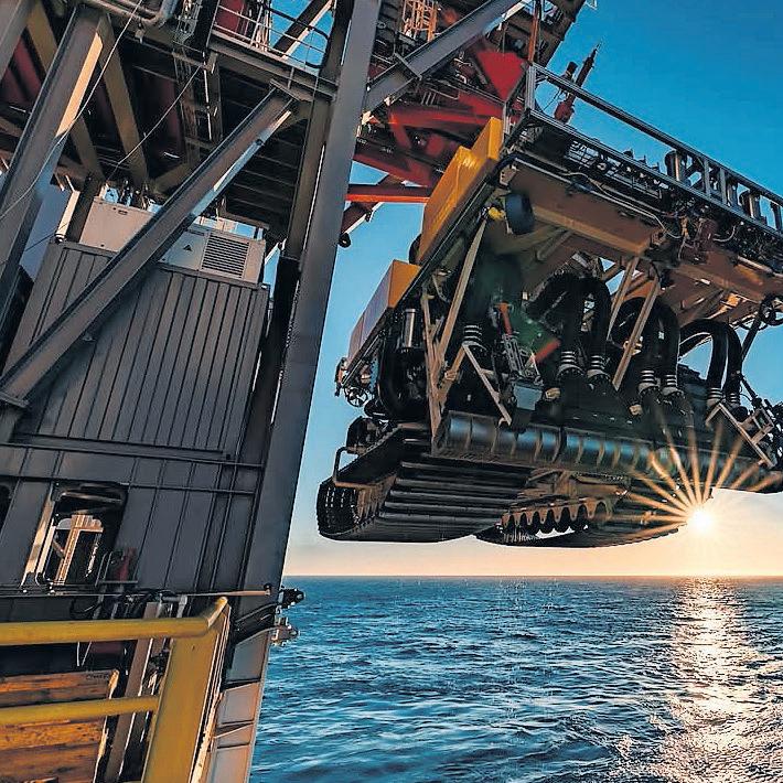 Wonders of the deep sea set to be ripped apart by Trump's hunger for rare minerals