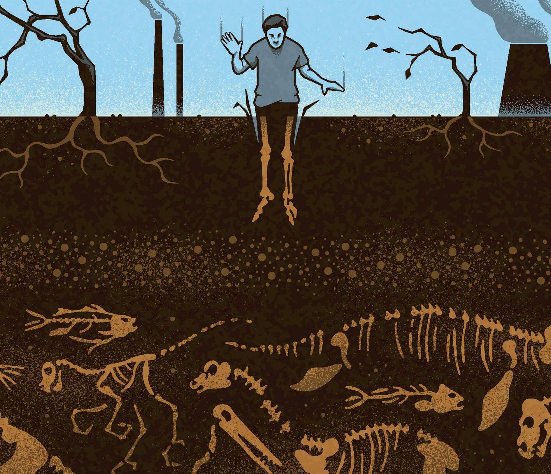 An English coast reveals a mass extinction. We now risk another