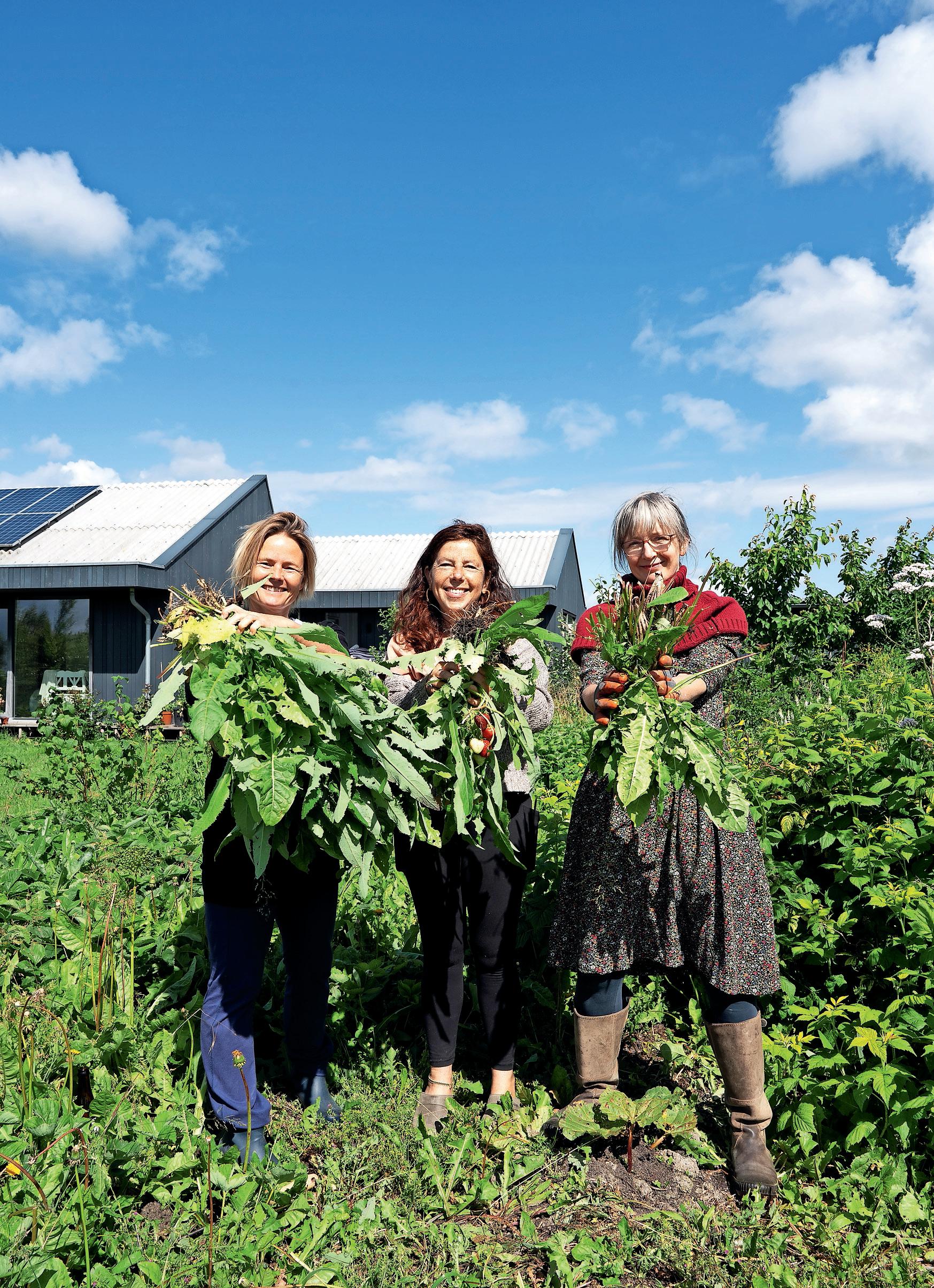 An urban plot with a sustainable ending