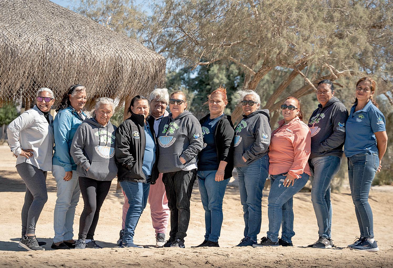 The women protecting mangroves and defying chauvinists