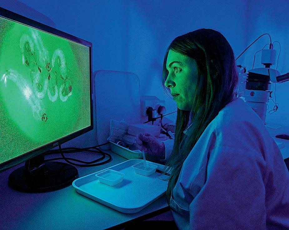 Bite back The lab breeding six-legged agents in the war on disease