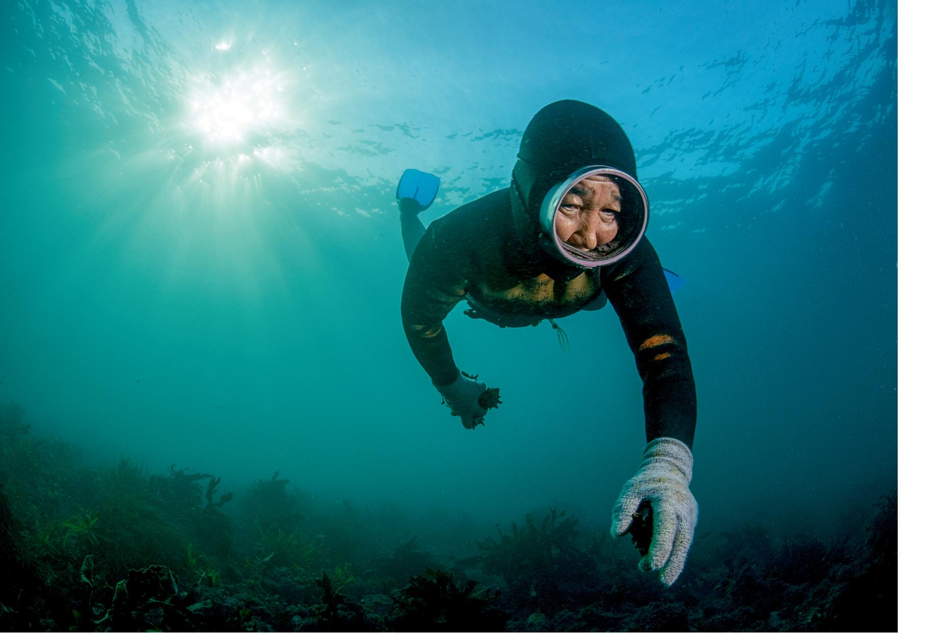 Deep dive 'Women of the sea' seek to reclaim the narrative