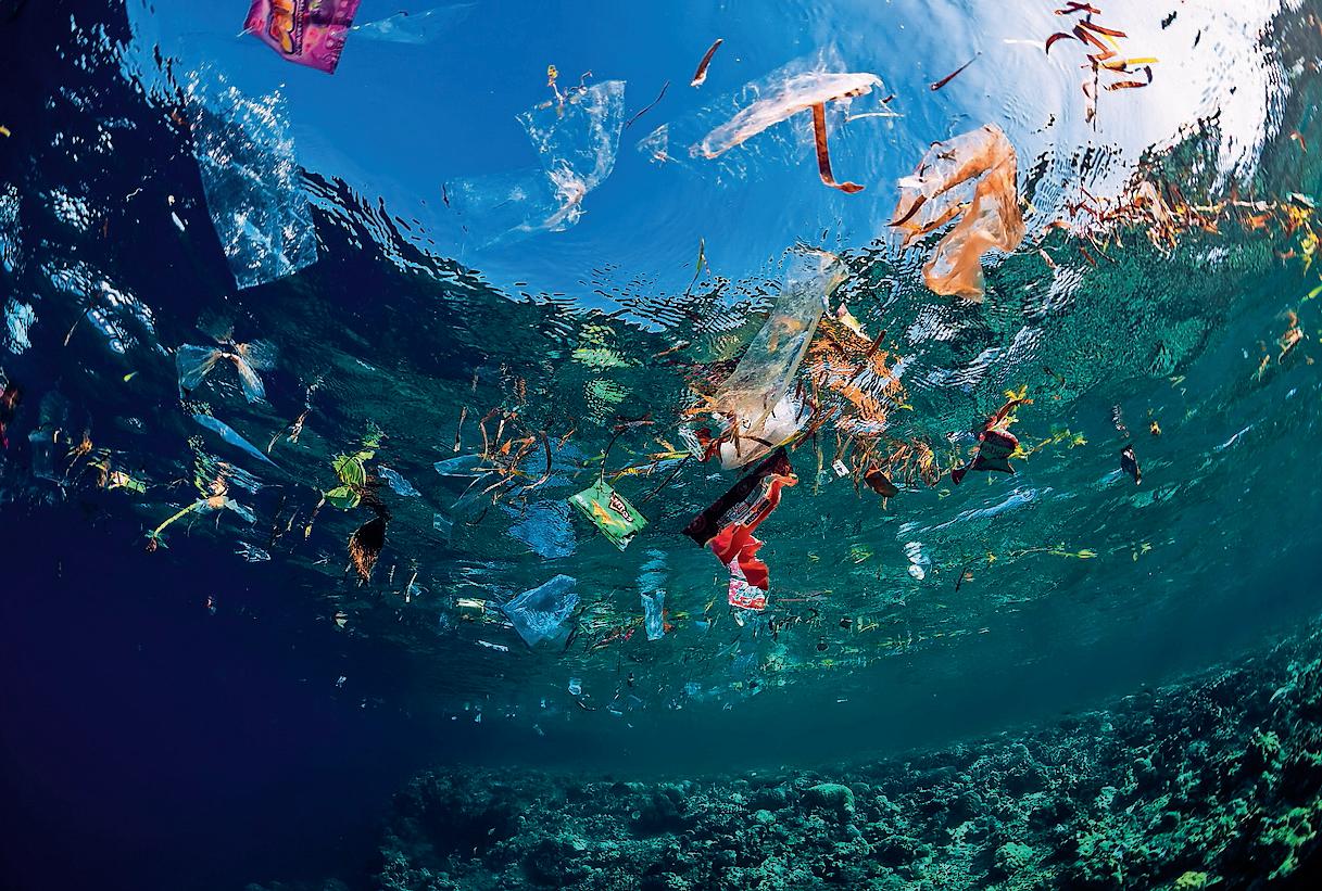 Seas the day Oceans at risk have crucial moment at UN summit