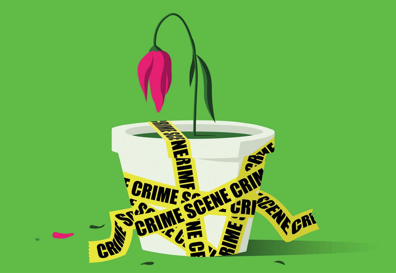 Can eco-crimes be called murder? Why we should look at damage to the environment as seriously as we take serial killers