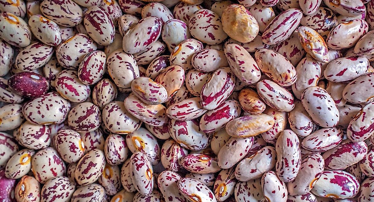 I'm vegetarian, he's a carnivore: what can I cook that we'll both like?