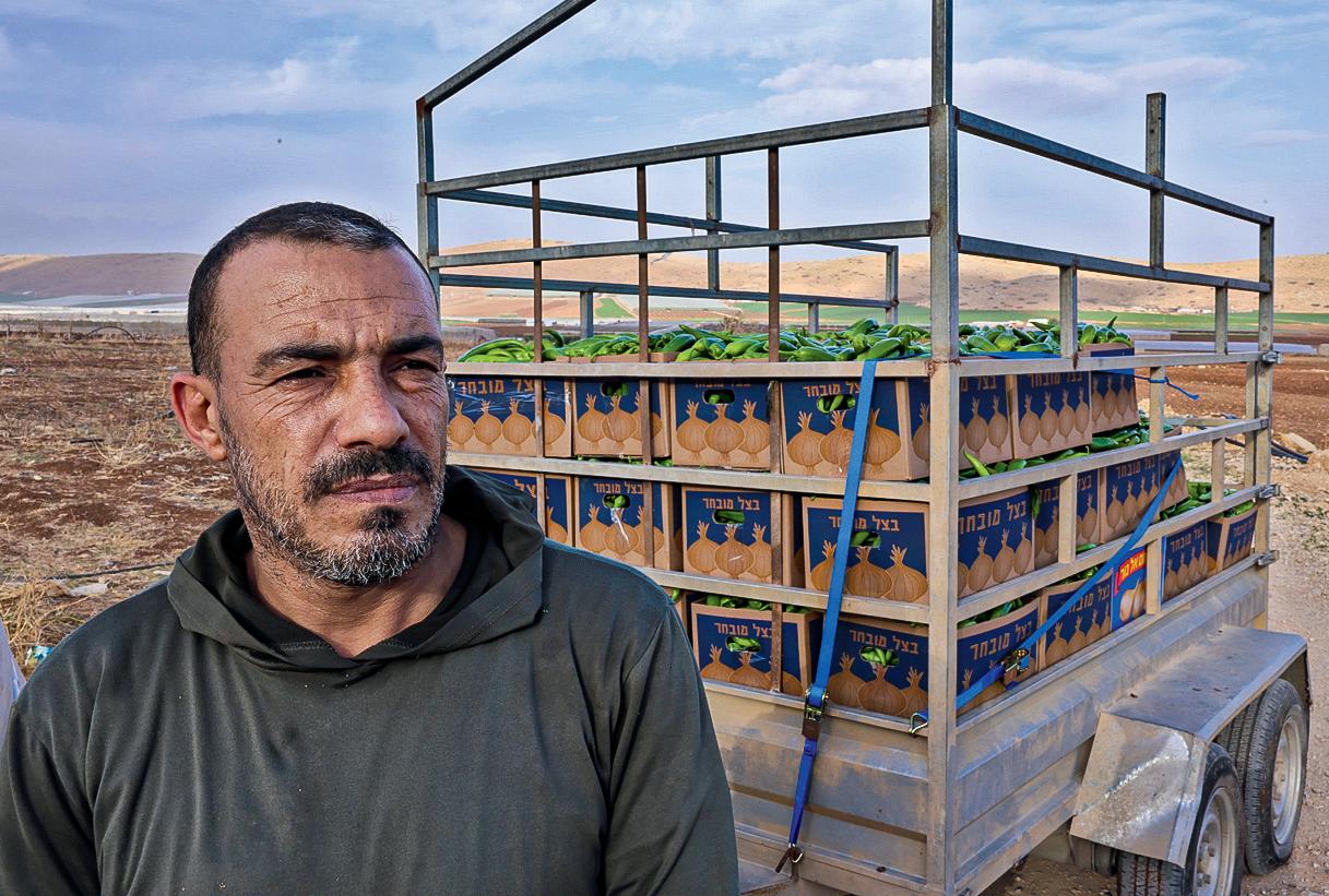 New barrier will slice through West Bank farmland