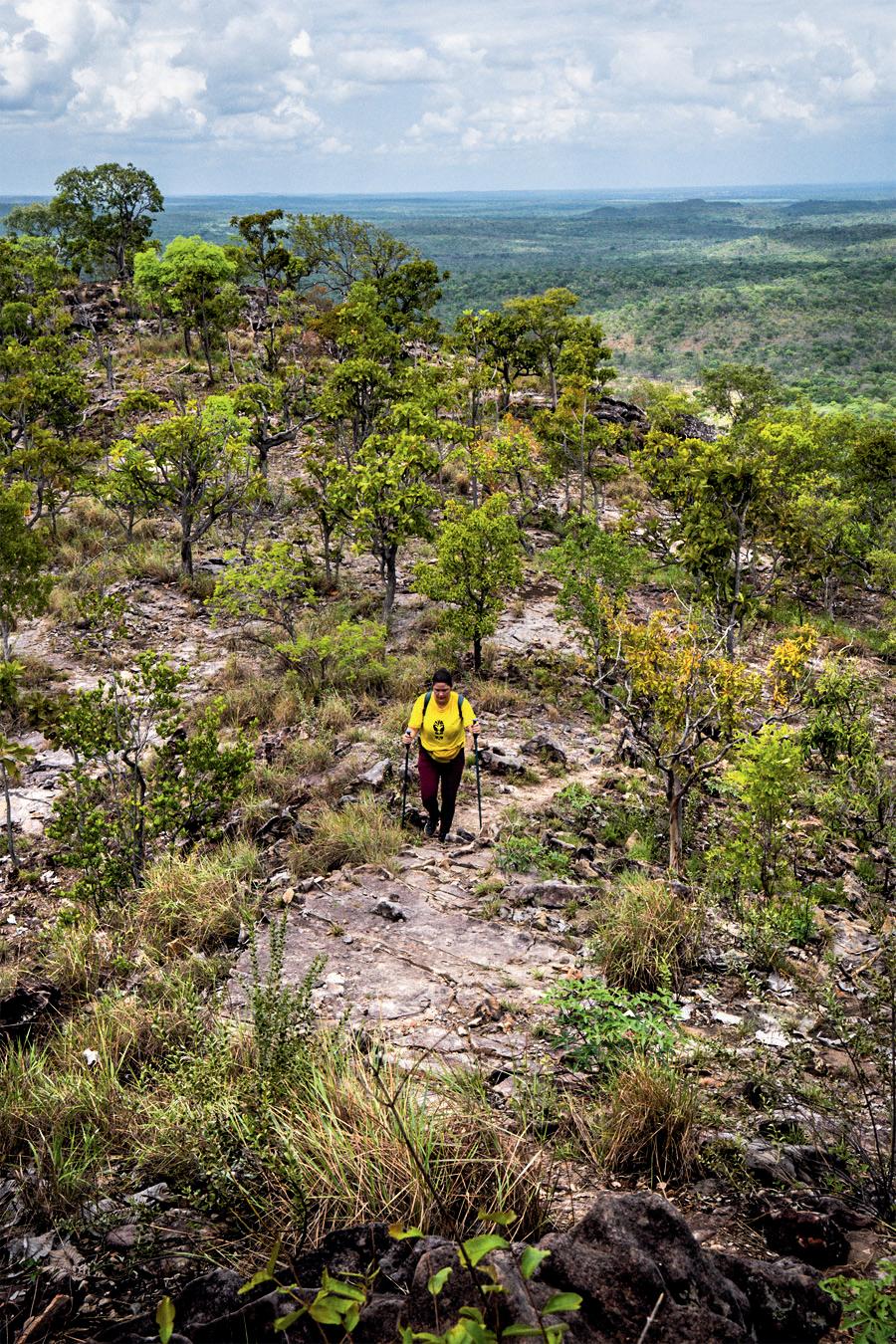 Walks of life: New hiking routes blaze a trail for conservation
