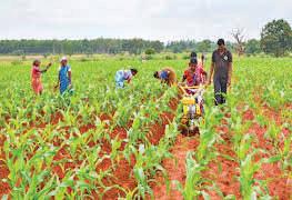 AgriTech Solutions collaborates with Basix to boost farmer incomes