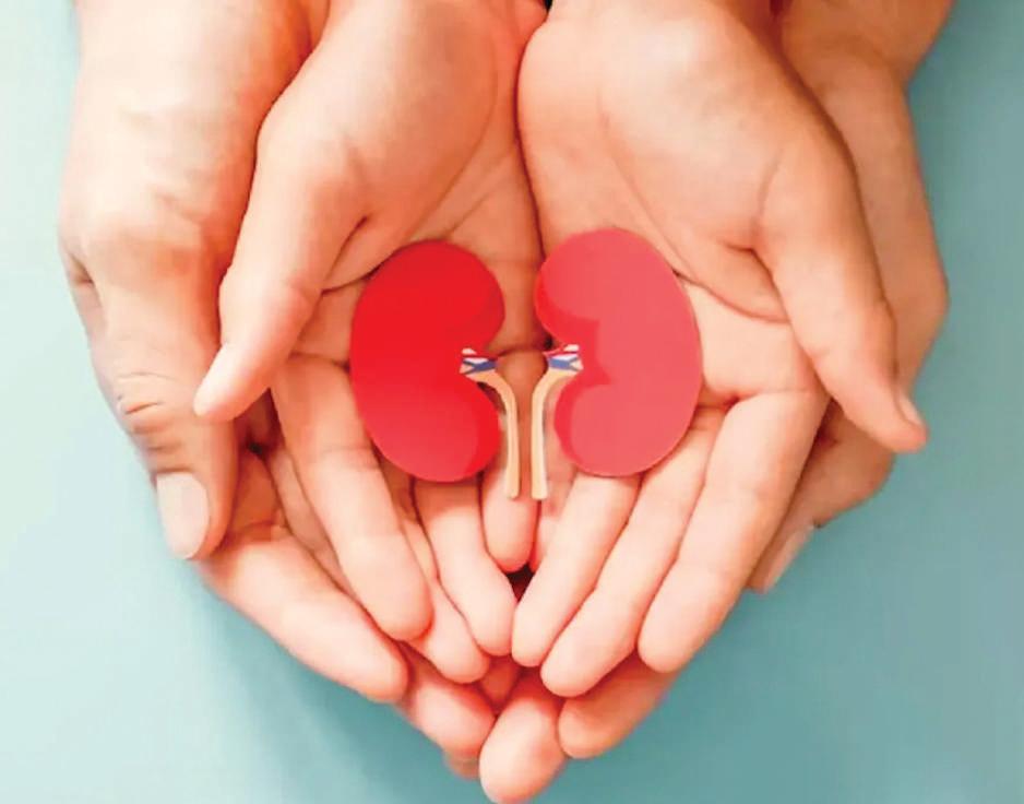 Diabetic kidney disease: Prevention is better than cure