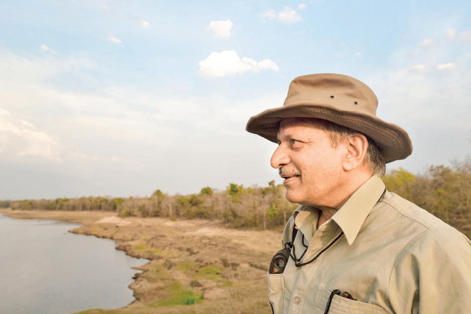 Earth hour sparks a movement: Regeneration through collective action