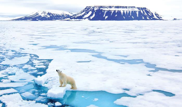 It's Not Only Temperature, Arctic Is Also Warming Up Geopolitically