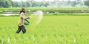 After energy, India eyes self-reliance in fertilisers