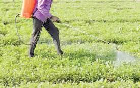 Fertiliser availability is comfortable across states: Govt