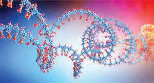 Study documents genome sequencing completed in just four hours