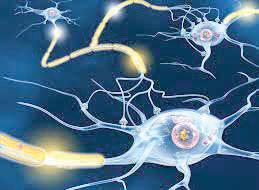 ESTROGEN COULD AID IN THERAPIES FOR PROGRESSIVE MULTIPLE SCLEROSIS