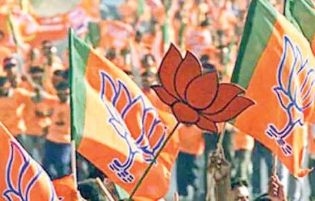 BJP sweeps local polls in Daman, Diu, Dadra-Nagar Haveli