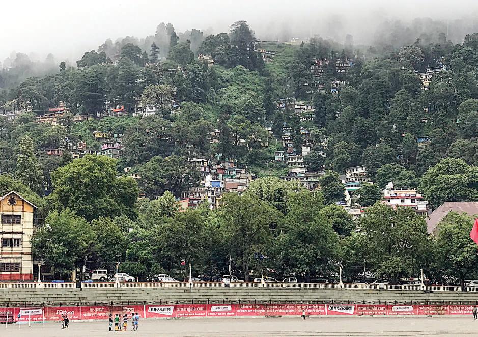 Grime, grub and the great forgetting