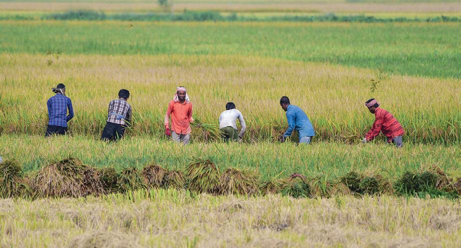 RBI says agriculture outlook for FY27 hinges on monsoon progress