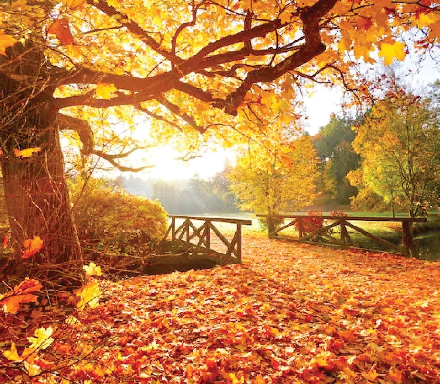 The balance of seasons and society