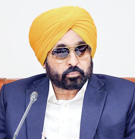 Tehsildars go on mass leave, Mann says won't bow down before corrupt