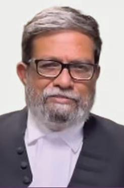 N Hariharan Elected as President of Delhi High Court Bar Association